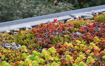 the cost of Borth green roof installation