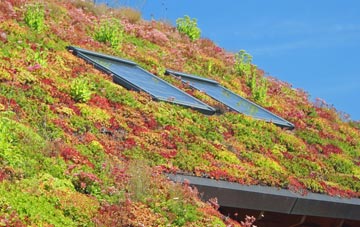 Borth living roof systems
