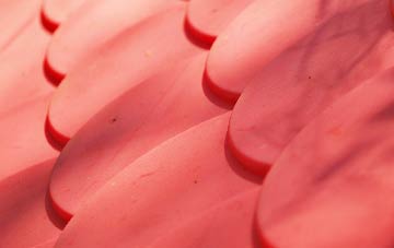 Borth plastic roof costs